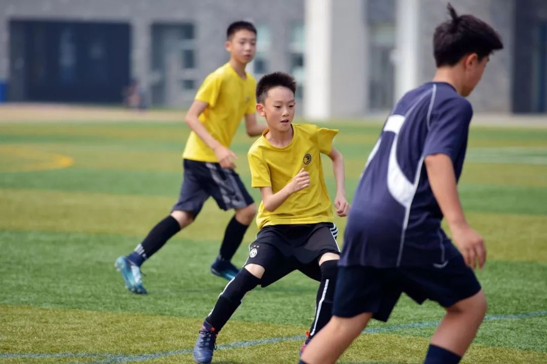 半岛体育APP-亚琛在德国哪个州