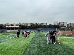 团队合作的经典例子团队协作案例