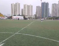 足球高能场面